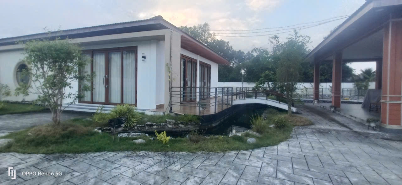 THI CÔNG SÂN VƯỜN