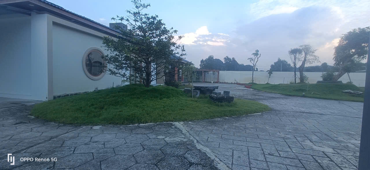 DỊCH VỤ THI CÔNG SÂN VƯỜN
