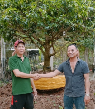 MUA BÁN MAI TẾT ĐẸP TRÀ VINH