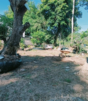 CUNG CẤP THI CÔNG CÂY CẢNH TẠI TRÀ VINH