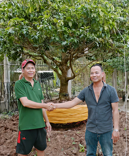 MUA BÁN  CÂY CẢNH TẠI  TRÀ VINH