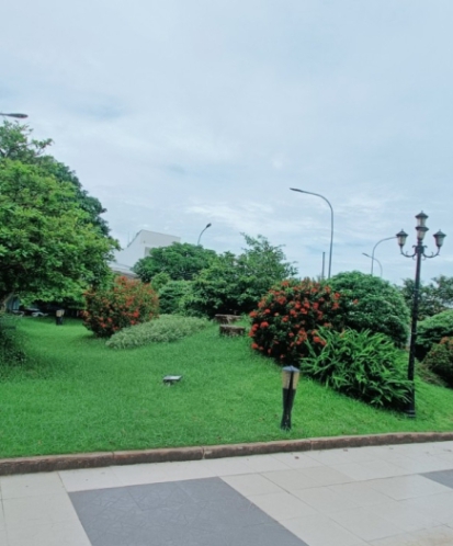 NHẬN CHĂM SÓC SÂN VƯỜN TẠI TRÀ VINH