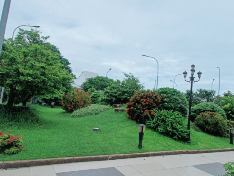 THI CÔNG SÂN VƯỜN