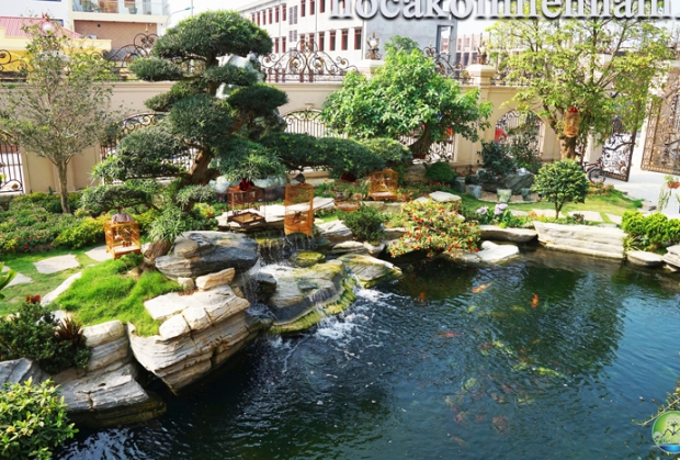 Cây Cổ Thụ Và Công Trình Tiểu Cảnh Tại Cây Cảnh Nguyễn Dũng Vĩnh Long – Kiến Tạo Không Gian Xanh Đẳng Cấp